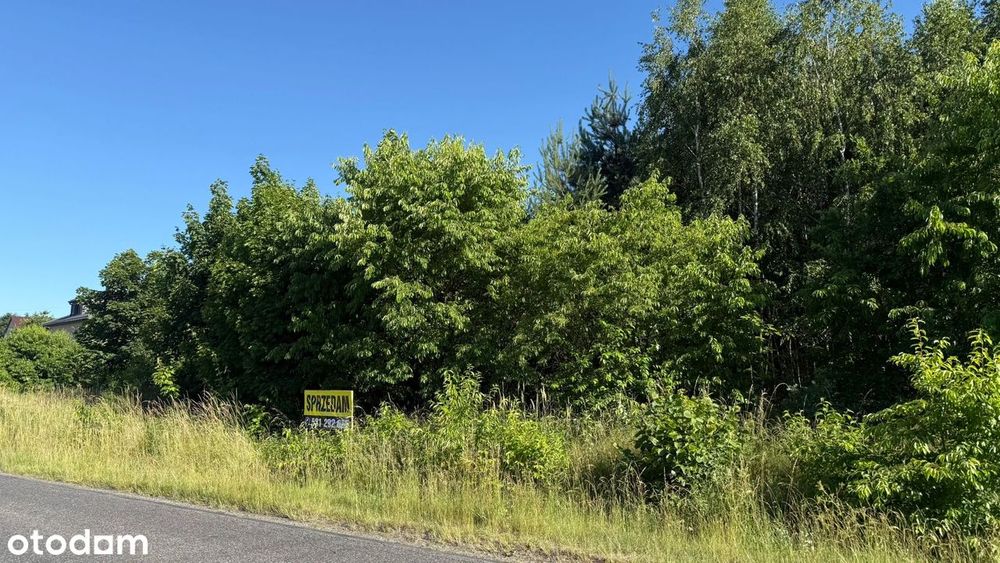 Działka 15 242 m² z częścią budowlaną 2 100 m² ,MPZP , 23 min od Cz-wa - Widok 6