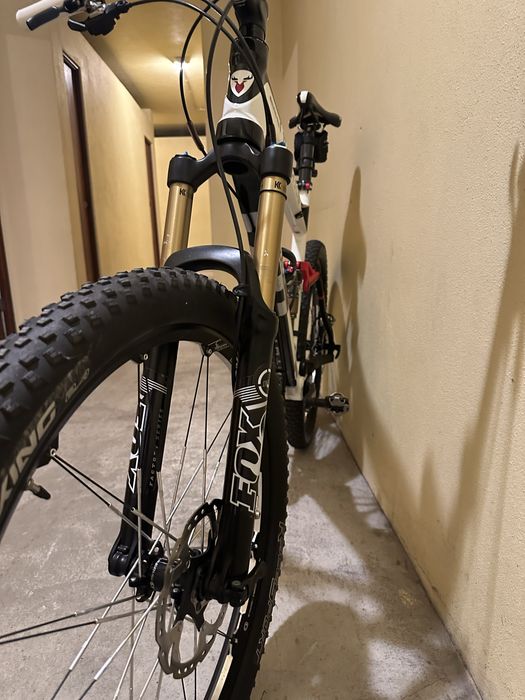 Bicicleta Rotwild AMG X45