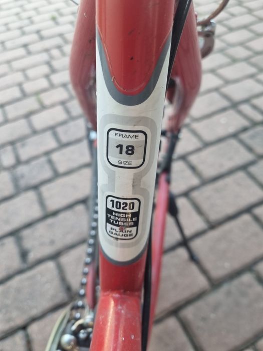 Rower damski AUTHOR!