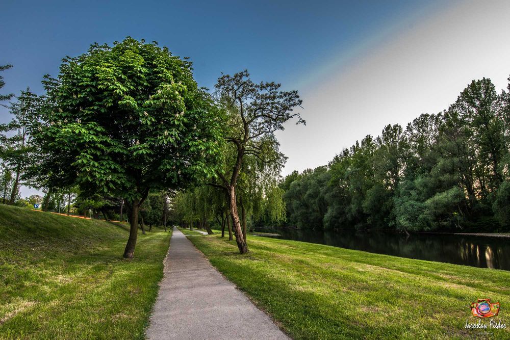 Przeciszów | Spokojna Okolica, Świetna Lokalizacja!