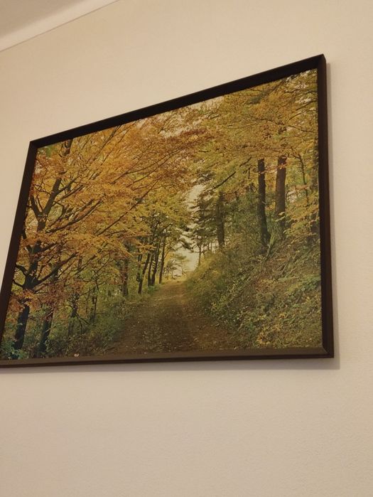 Várias coisas de casa.