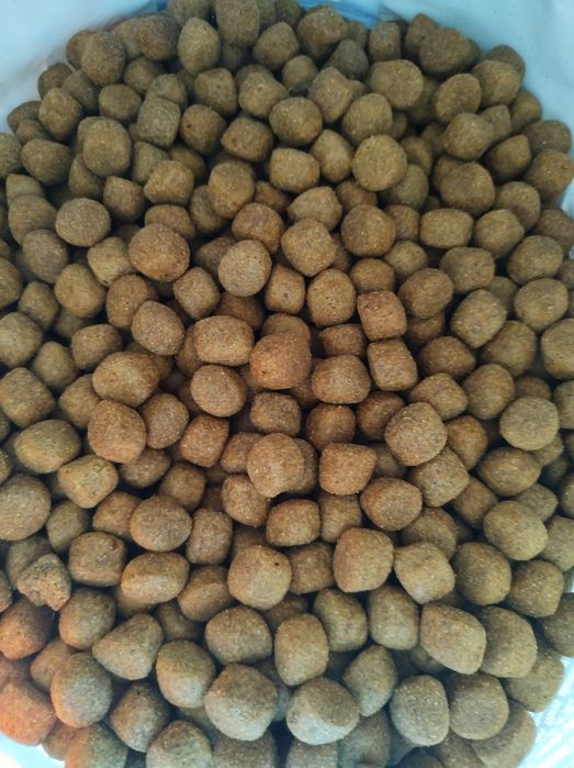 Karma Premium dla psa Complete Maxi Adult Select Gold 12kg plus 5kg