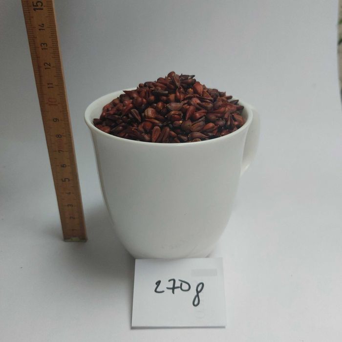 pestki pigwowca na nalewkę 270 g