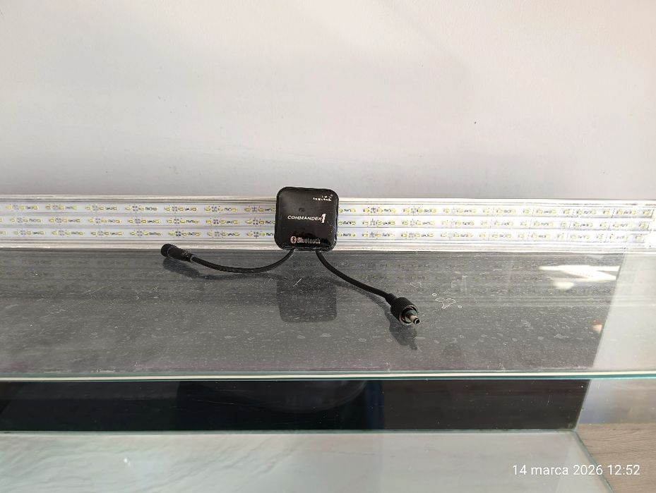 Akwarium z oświetleniem