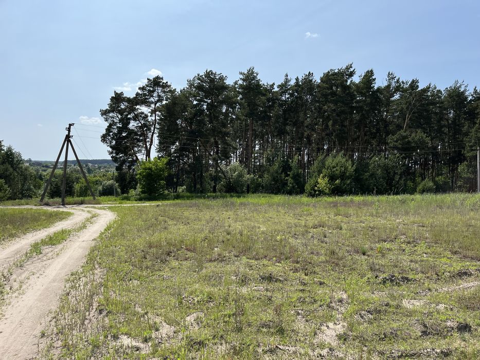 Ділянка біля лісу 10 соток