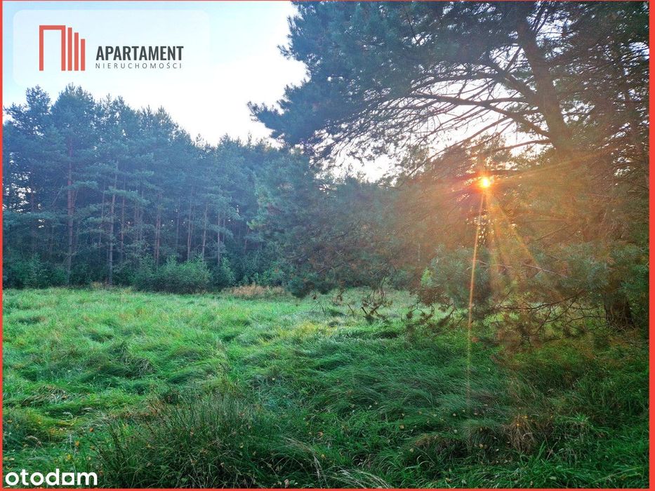 Tylko u nas! Działka rolna z pięknym zadrzewieniem