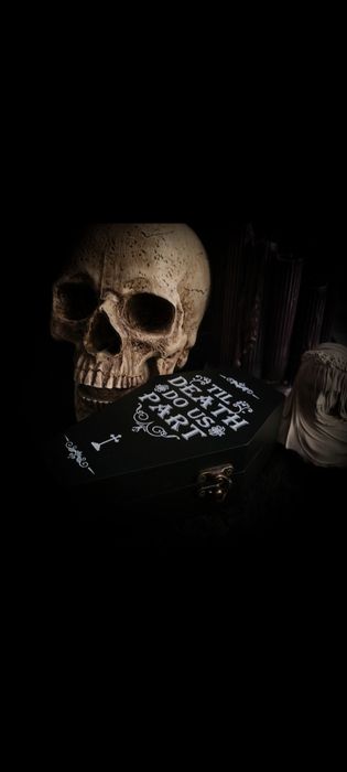 Hrabia Myszula taksydermia szkielet myszy