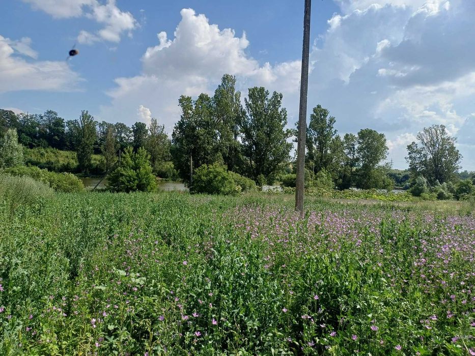 Продаж земельної ділянки в Луці-Мелешківській