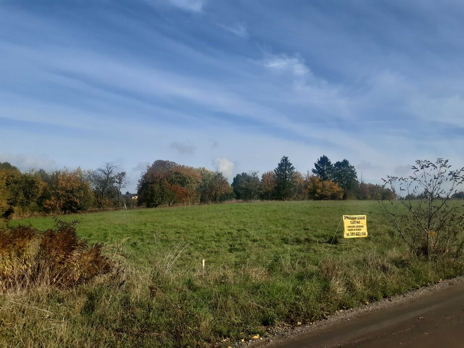 Działka z warunkami zabudowy, 1500 m2, Błeszno