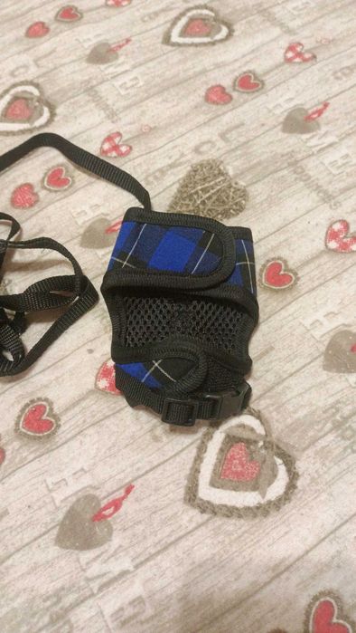 Повідець та шлея для щура