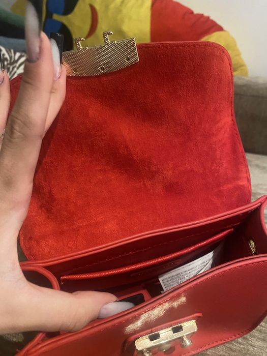 Mala Springfield, nova