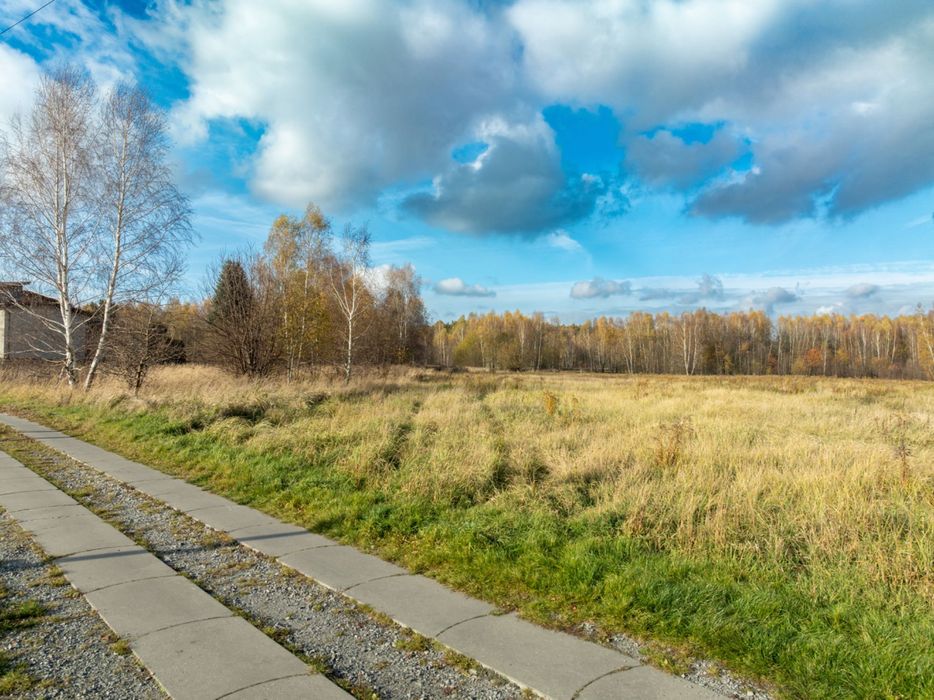 Na sprzedaż działka budowlana 40 ar | Książenice (powiat rybnicki)