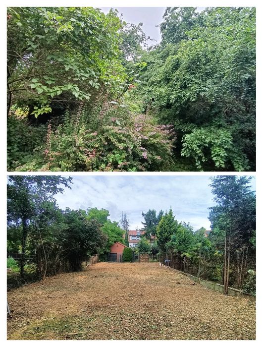 Czyszczenie działek Wycinka drzew