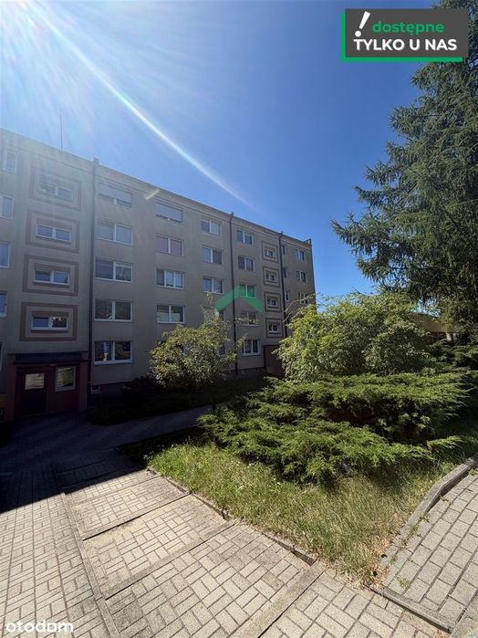 Dostępne od zaraz...Zapraszamy