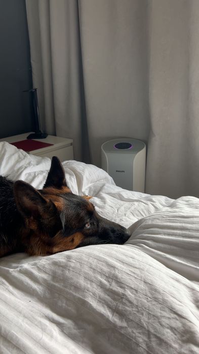 Oczyszczacz powietrza