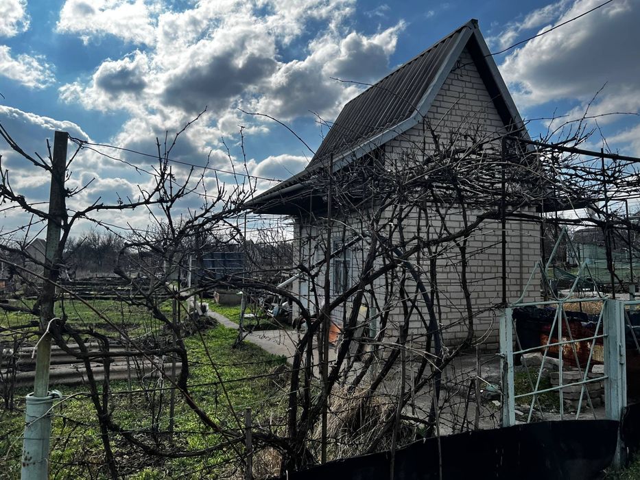 Дача,даманский, придорожное