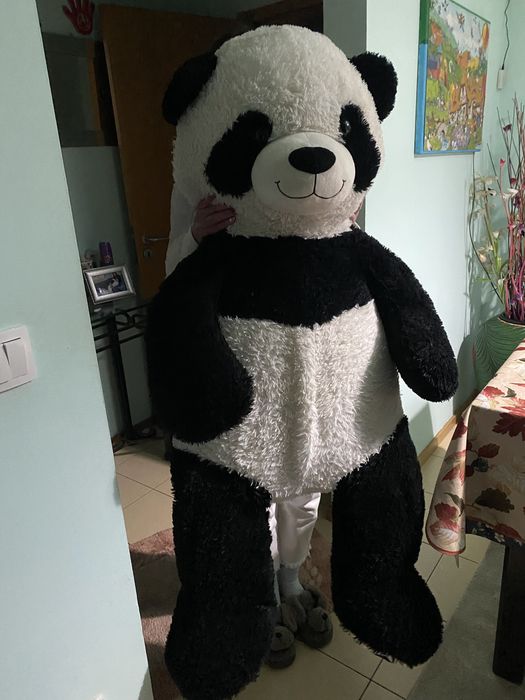 Panda gigante Zoko