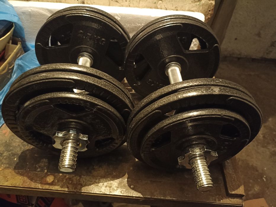 Hantle żeliwne 2x14.5 kg
