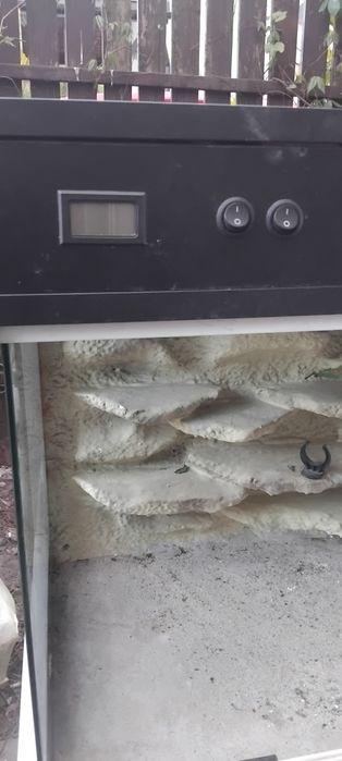 Terrarium na jaszczurke