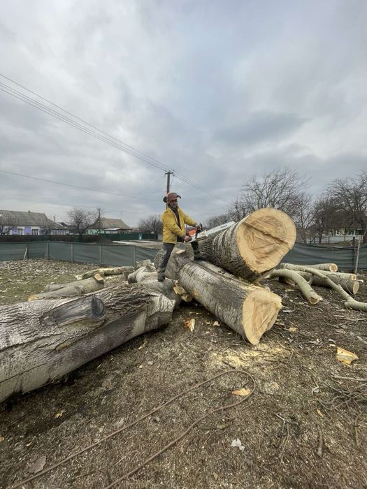 Зрізання аварійних дерев.Порізка на дрова .Подрібнення гілля.
