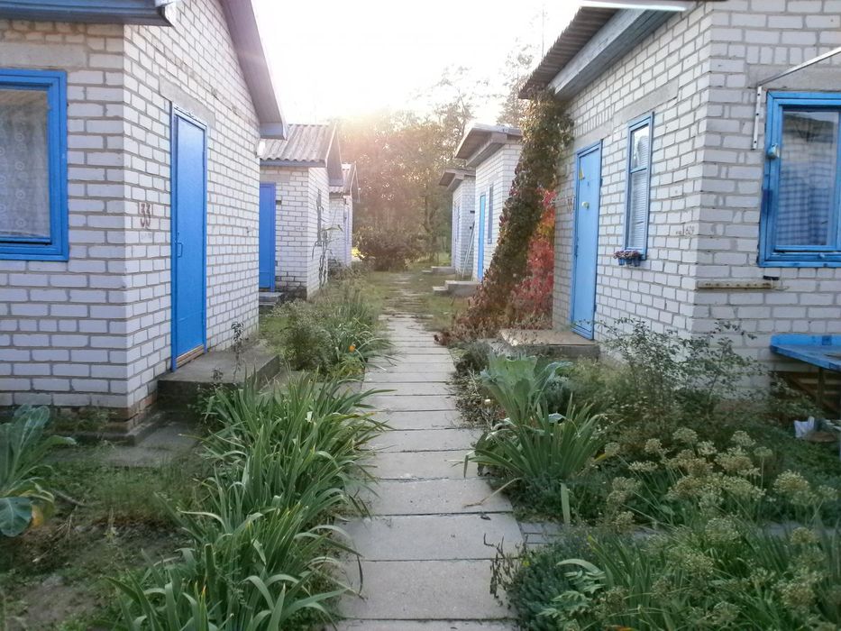 Земельна ділянка в с. Розумівка, під заміський клуб та ін.