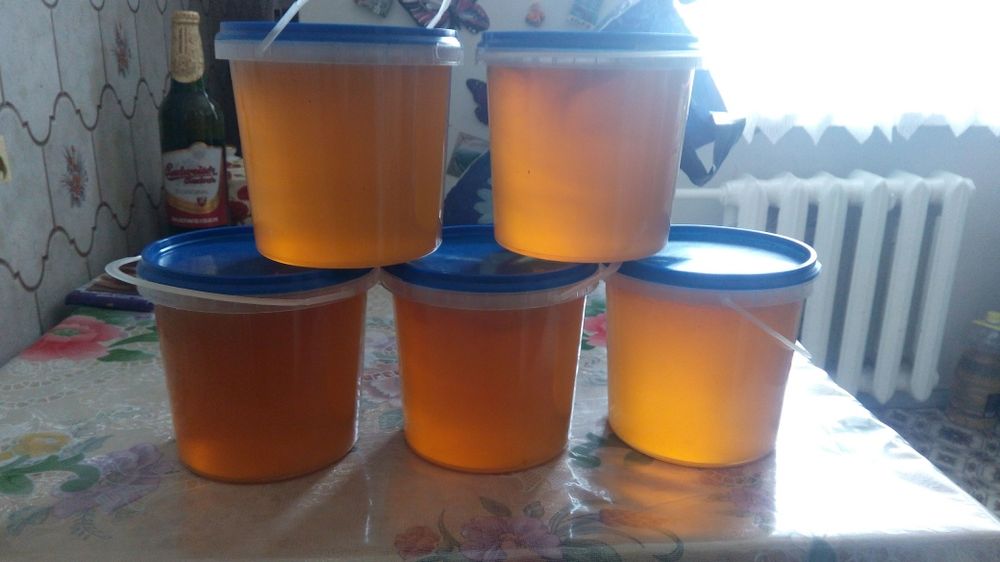 Продам мед 2025 року.