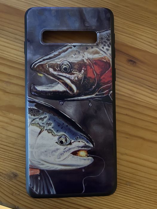 Etui do Samsung s10