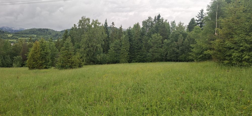 Działka Glinka Smerekow - Widok 3