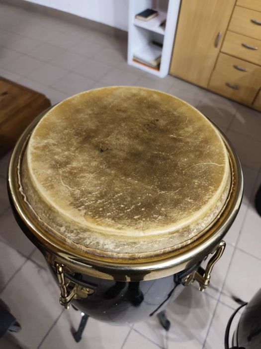 Konga EVER PLAY  piękne brzmienie