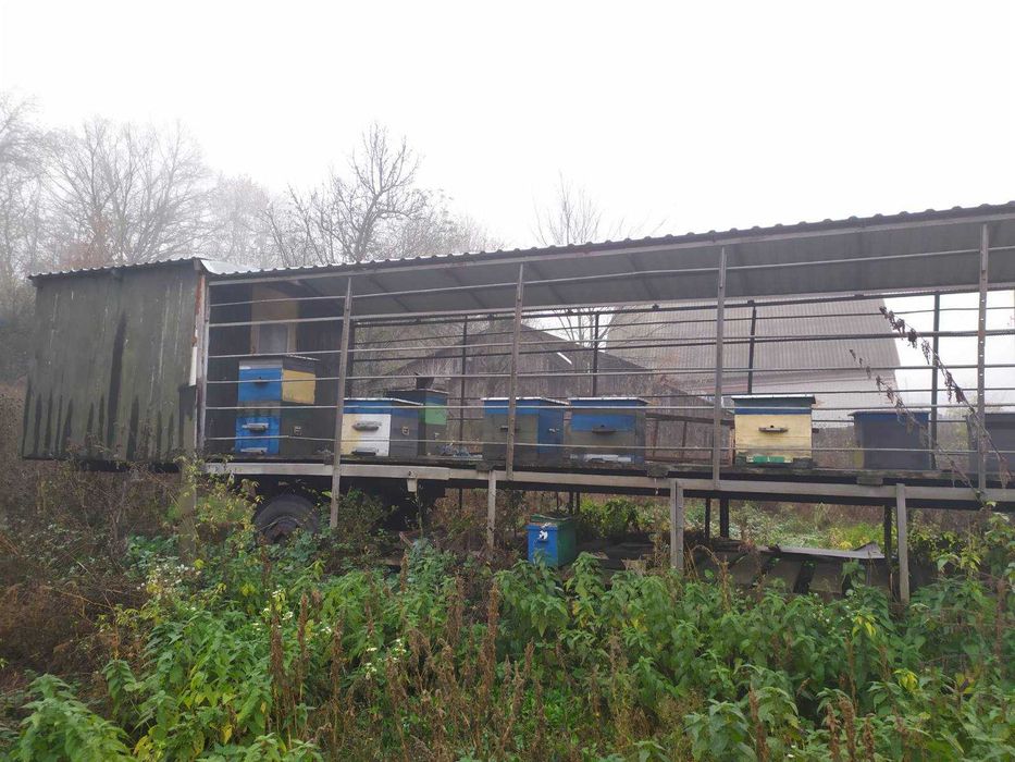 Продам причіп для пасіки. Ціна договірна.