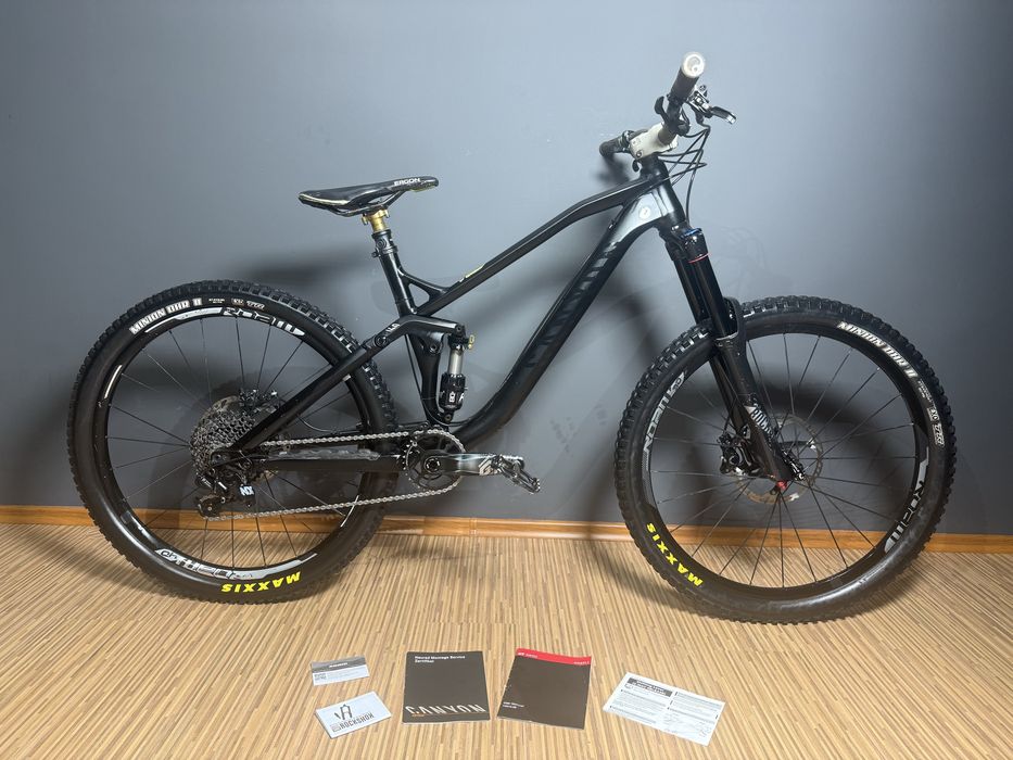 Canyon Spectral AL rower endero full dh