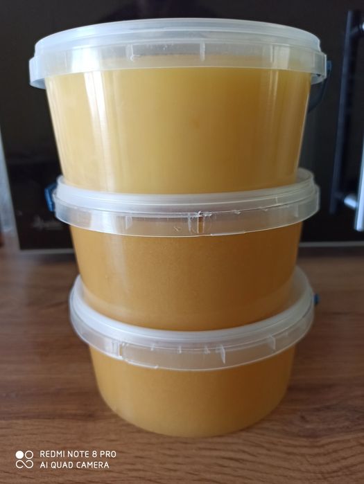 Бджолиний пилок, перга, прополіс, мед гречаний, трутневий гомогенат