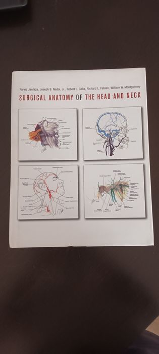 Surgical Anatomy of the Head and Neck