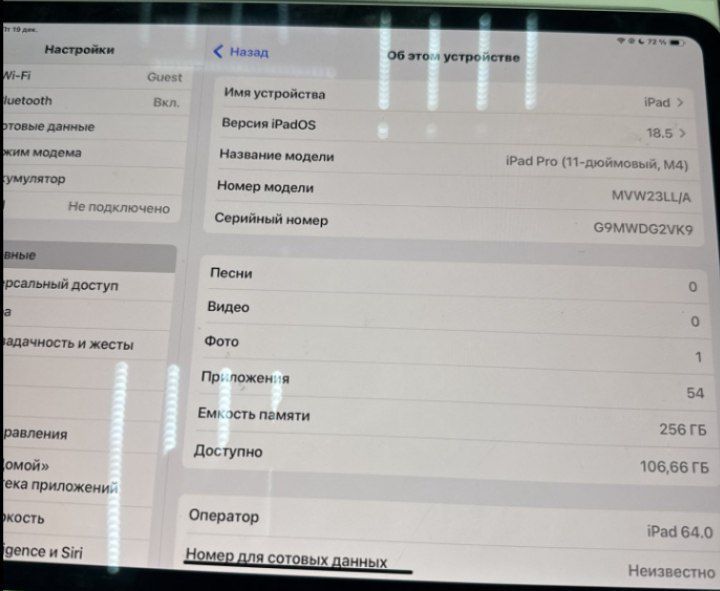 iPad Pro 11 m4 256 WiFi + lte