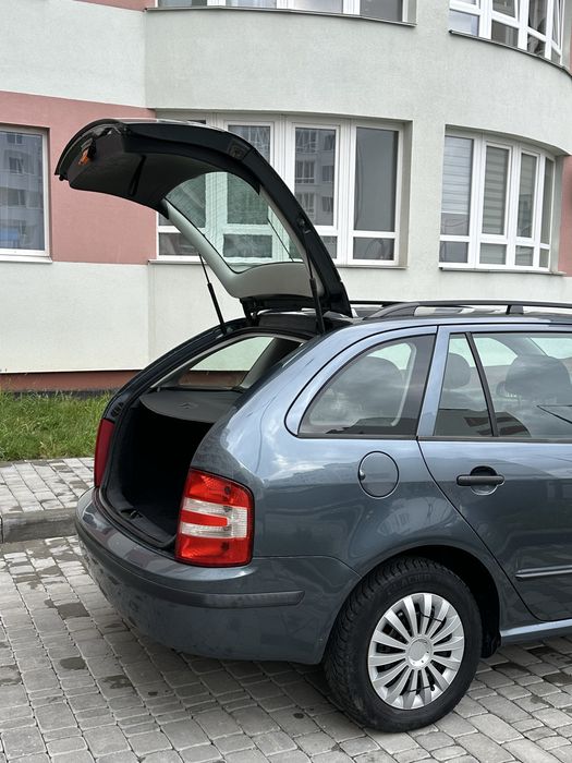 Skoda Fabia 2006 рік Газ/Бензин