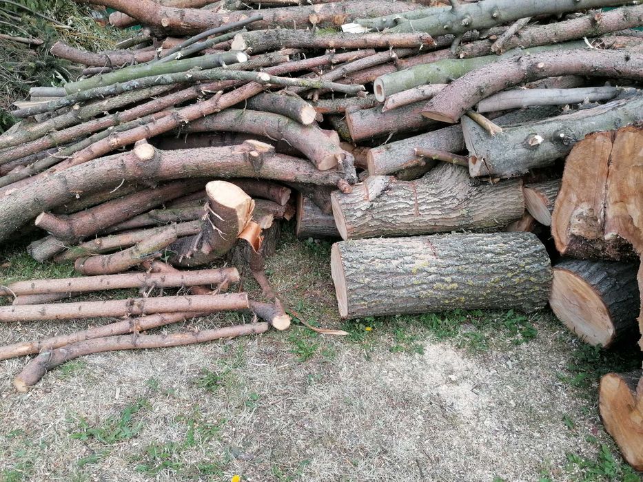 Drewno opałowe Sosna i wierzba