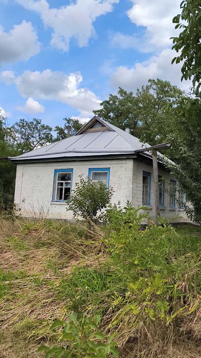 Продам будинок в с.Івківці + 1,85га горіхового саду