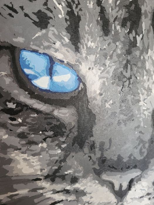 Картини котиків намальовані (за номерами)