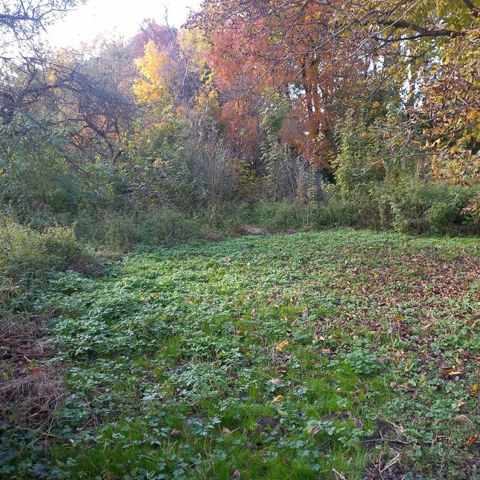 Продам земельну ділянку