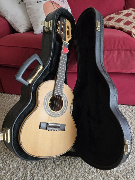 Cavaquinho Rozini Eletrico