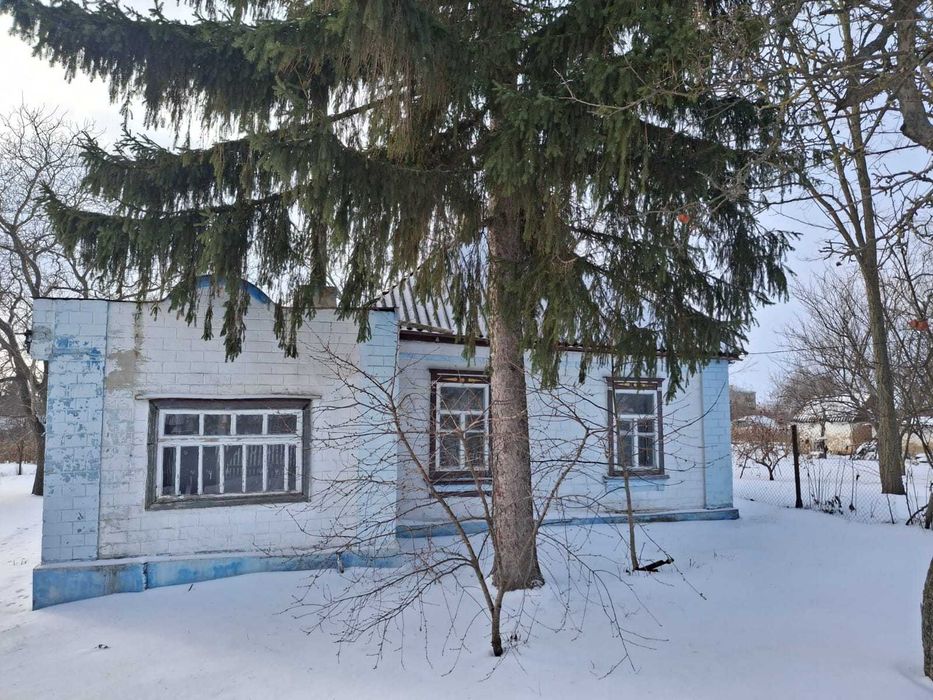 Будинок у мальовничому селі