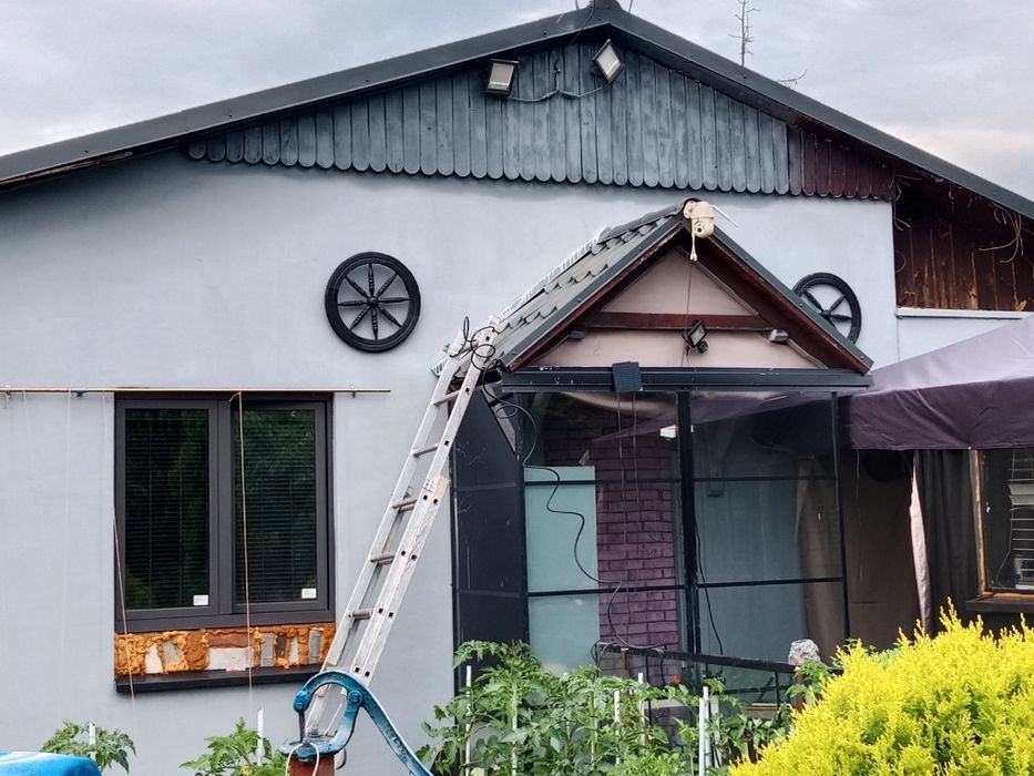 Działka ROD Króla Leszczyńskiego