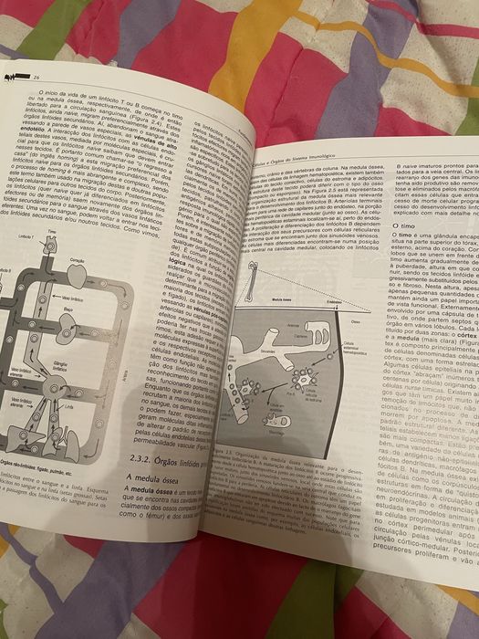 Fundamentos de Imunologia