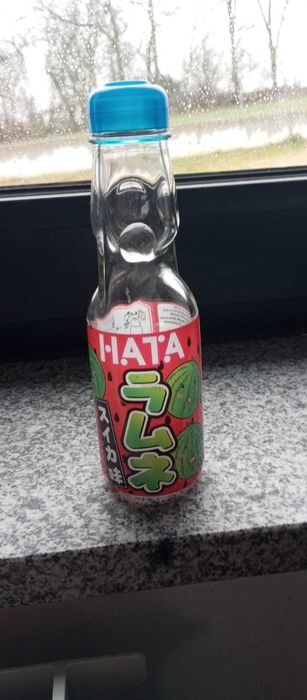 Garrafas Colecionáveis Japonesas