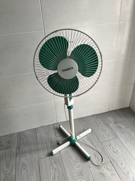 Ventoinha titanica