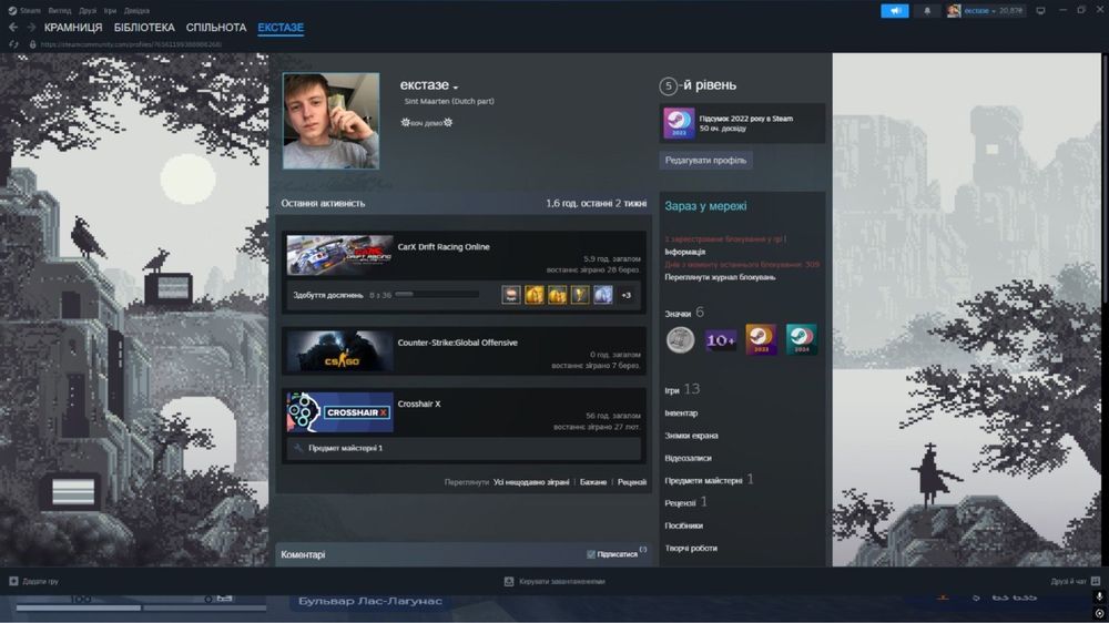 Продам акаунт steam RUST,CROSHAIR X,CARX,THECREW,teraria,garyssmod