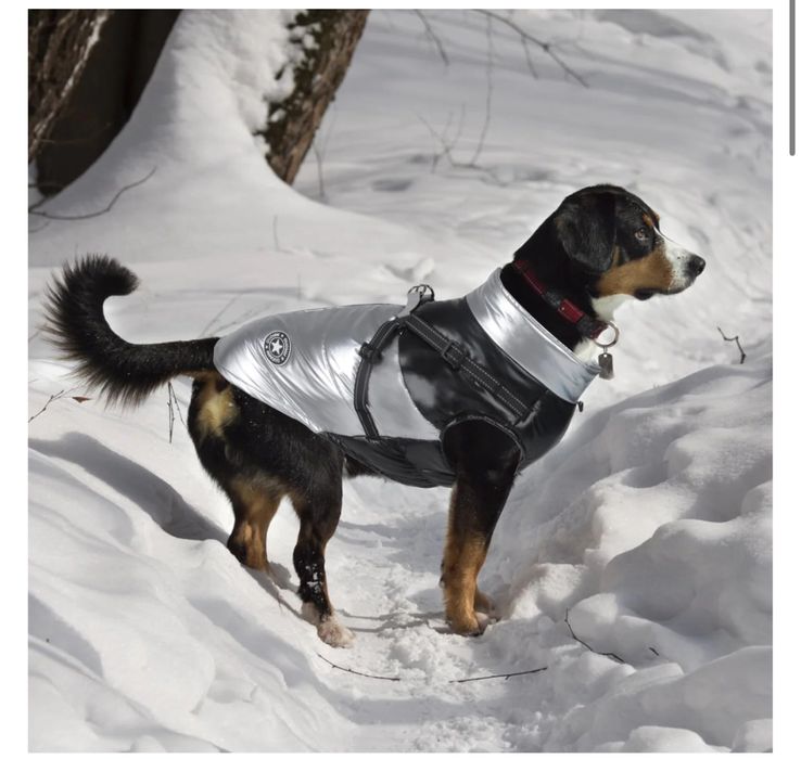 Kurtka Dla Psa Na Zimę Odblaskowa Wodoodporna 3XL