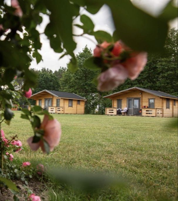 Domek , domki nad jeziorem Serbinówka.