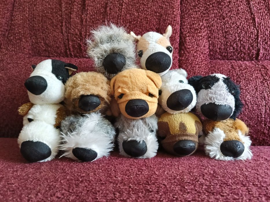 The Dog Collection