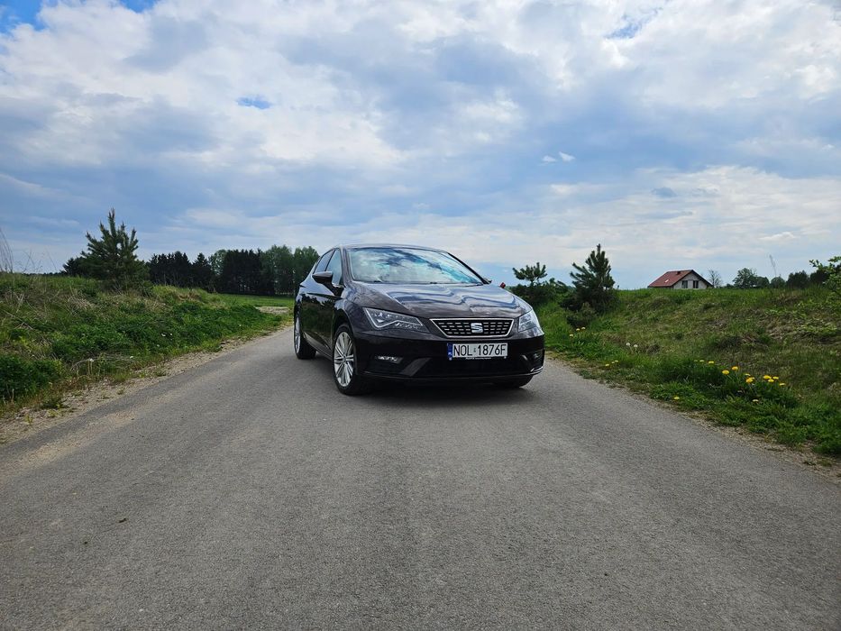 Seat Leon Seat Leon 2019 Xcellence